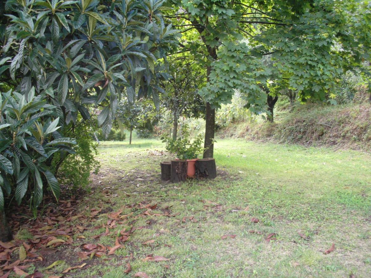 Il Fienile Villa Ripafratta Exterior photo